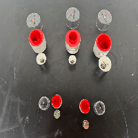 Troemner Calibration Weights - Quantity 5 image 2